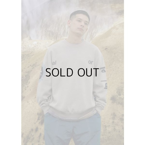 画像6: JACQUARD COTTON CREWNECK SWEATER