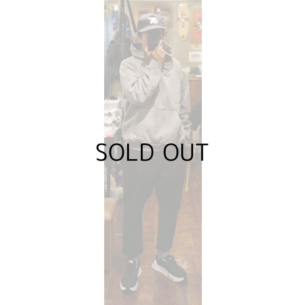 画像9: GARMENT DYE HOODIE