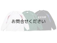 WHIZ 2026 A/W "TRACE CREW"