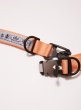 画像3: FIDLOCK NYLON 1ACTION BELT (3)