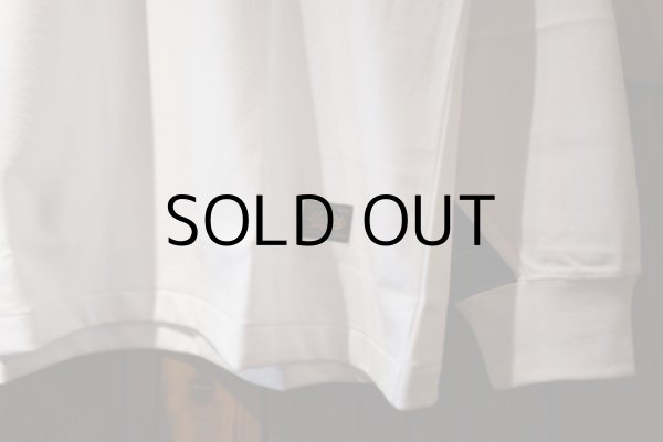 画像11: LOGO-LST (11)