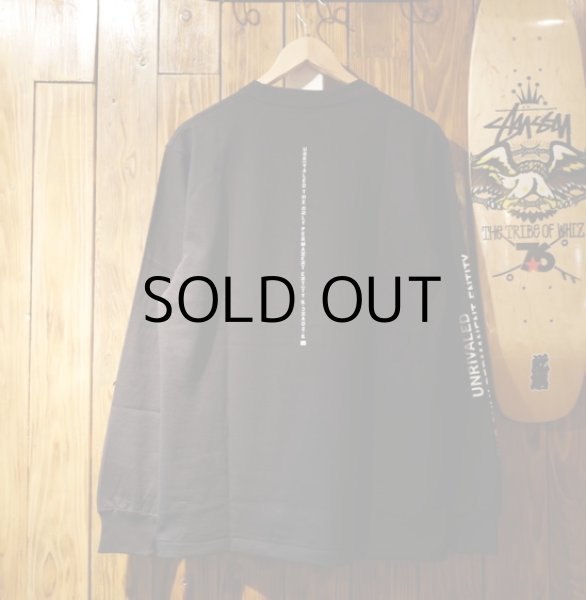 画像6: LOGO-LST (6)