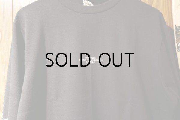 画像2: LOGO-LST (2)