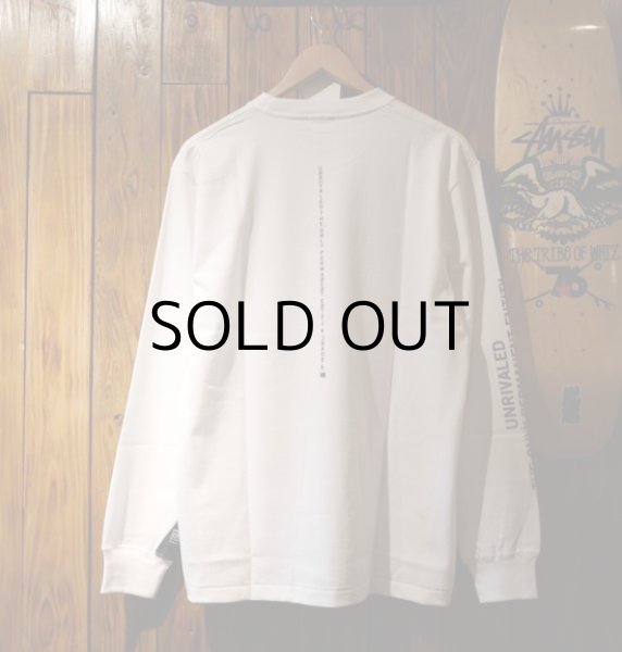 画像13: LOGO-LST (13)