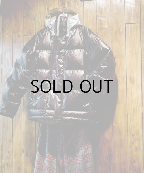 画像5: TECH DOWN JACKET (5)