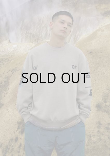 画像6: JACQUARD COTTON CREWNECK SWEATER (6)