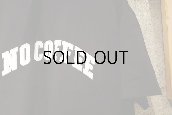 画像9: カレッジロゴ刺繍 S/S TEE (9)