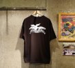 画像2: BW EAGLE S/S T-SH (2)